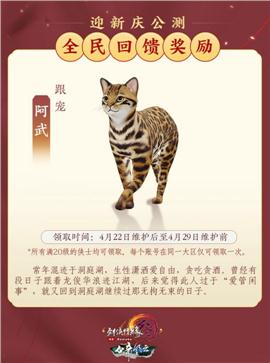 天龙八部私服哪个人多